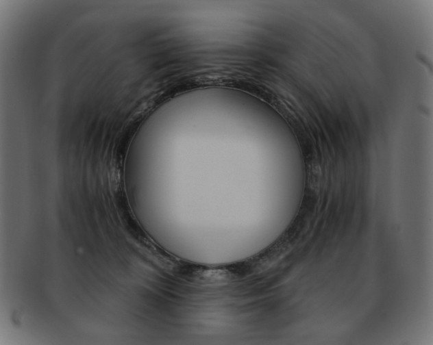 X0000092020324200709061335