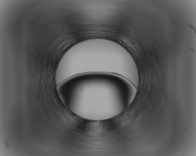 X0000092020325200709061335