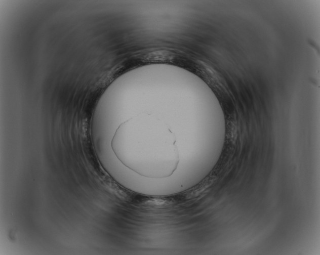 X0000092020326200709061335
