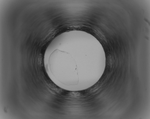 X0000092020328200709061335