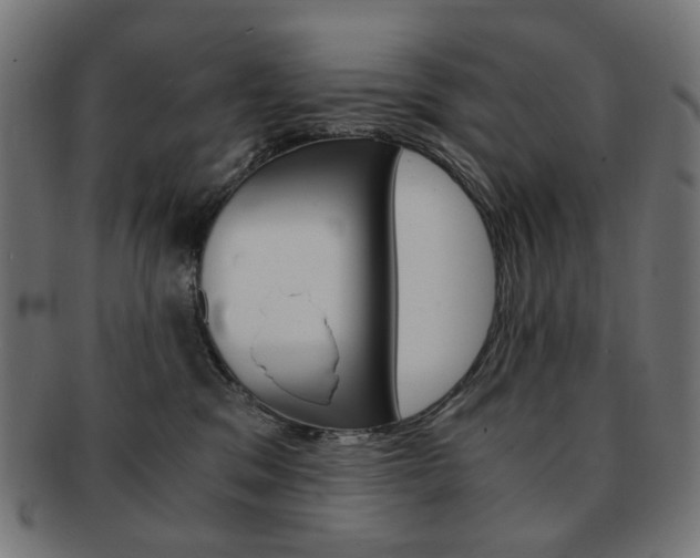 X0000092020329200709061335