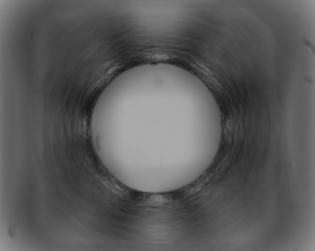 X0000092020330200709061335