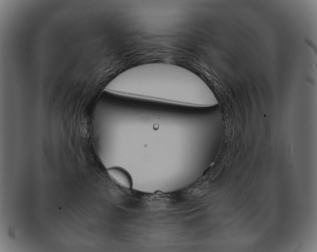 X0000092020331200709061335
