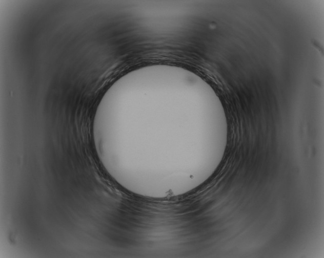 X0000092020332200709061335