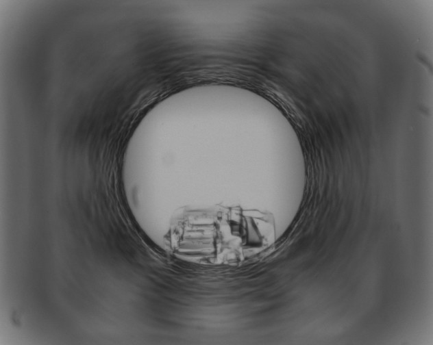 X0000092020333200709061335
