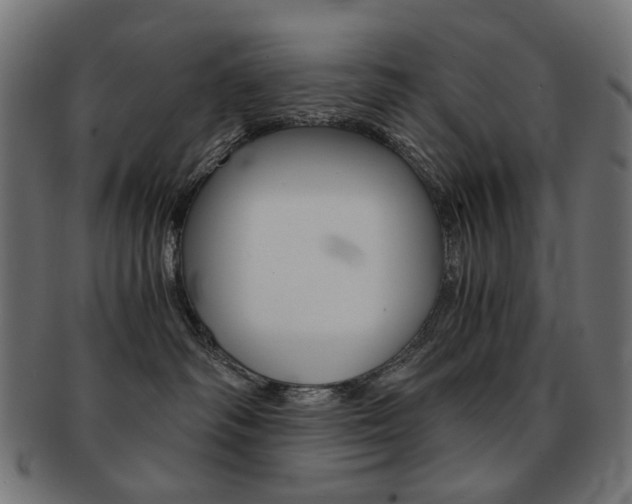 X0000092020334200709061335