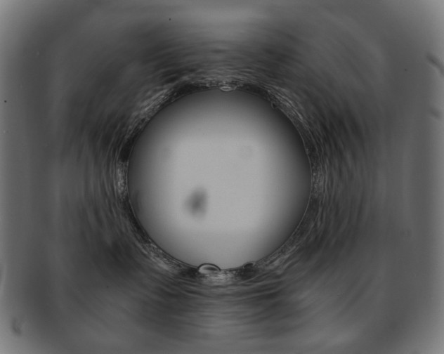 X0000092020335200709061335