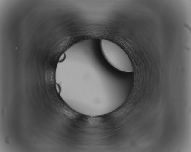 X0000092020336200709061335