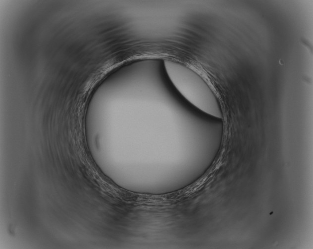 X0000092020337200709061334