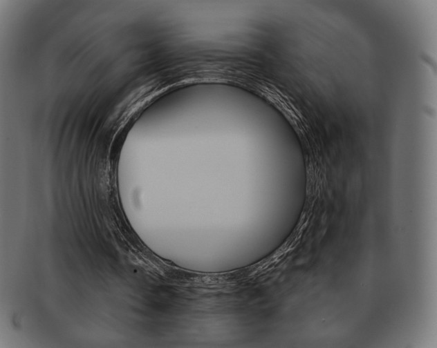 X0000092020338200709061334