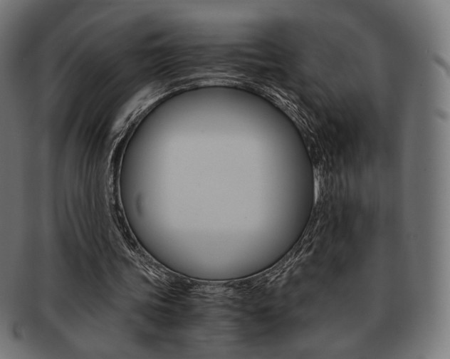 X0000092020339200709061334