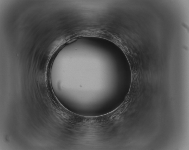X0000092020340200709061334