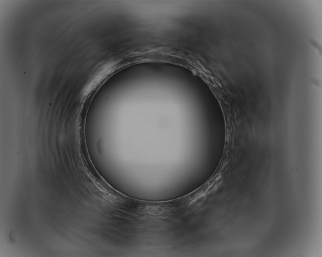 X0000092020341200709061334
