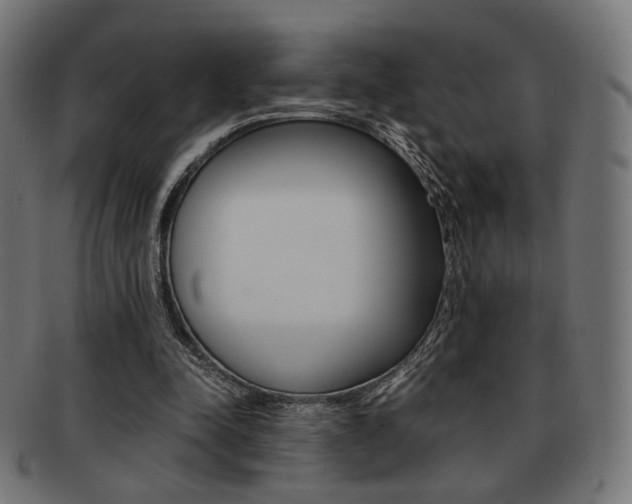 X0000092020342200709061334