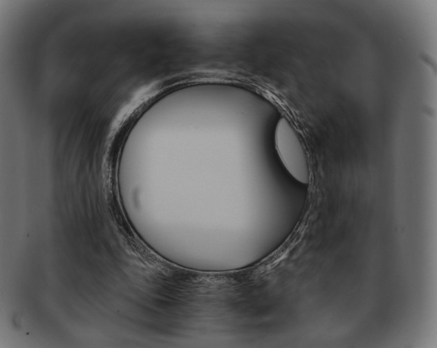 X0000092020343200709061334