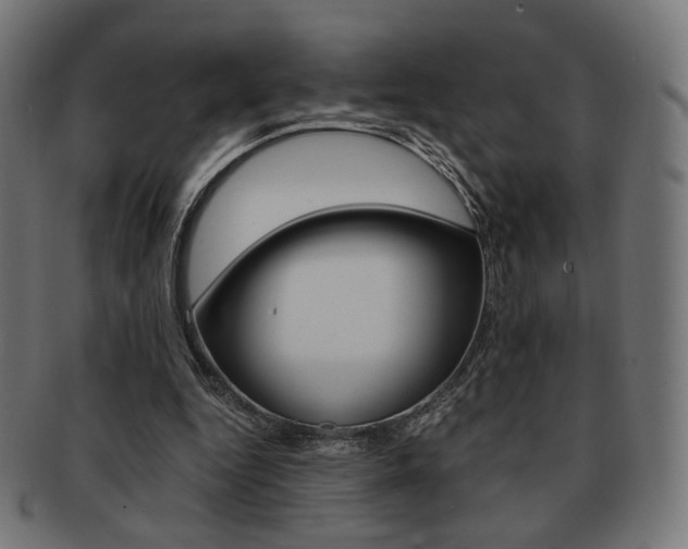 X0000092020344200709061334