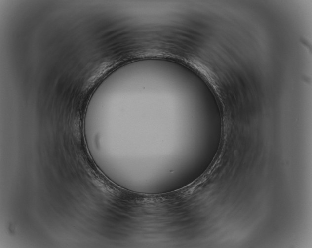 X0000092020345200709061334