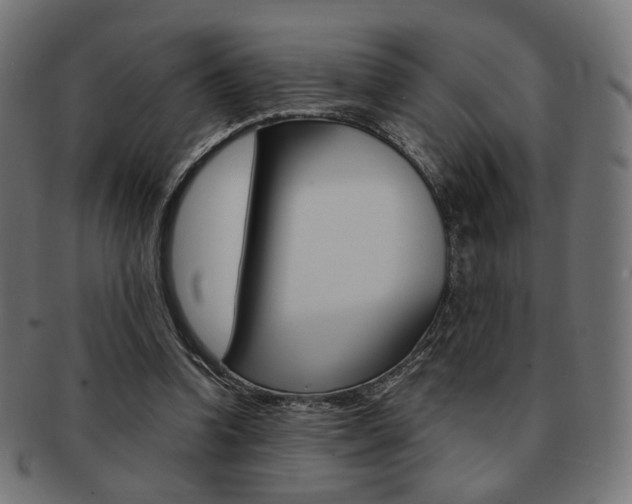 X0000092020346200709061334