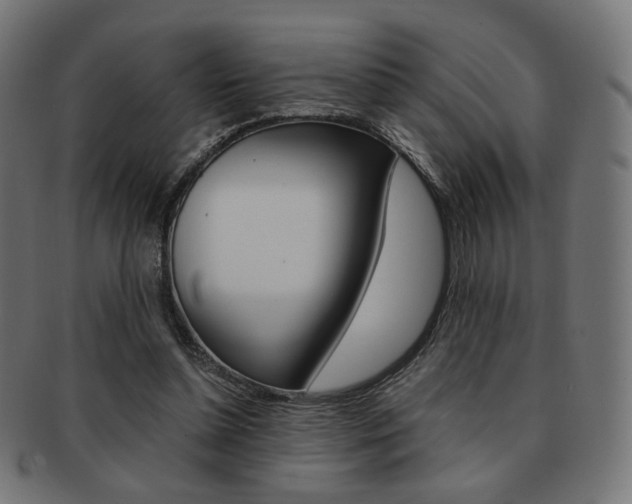 X0000092020348200709061334