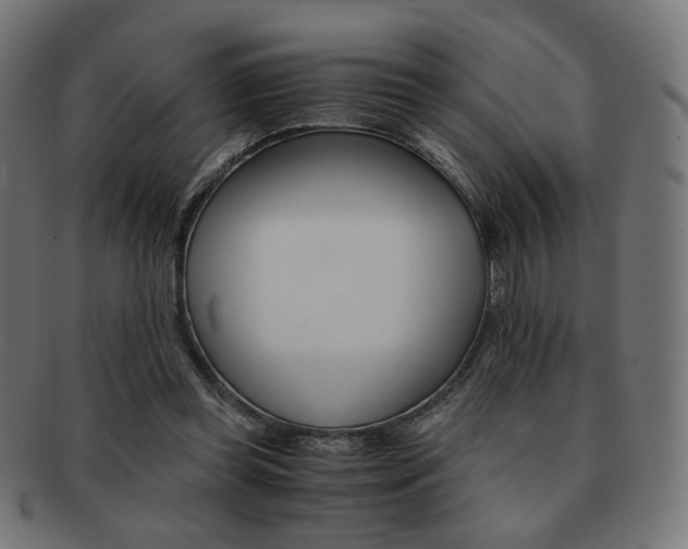 X0000092020349200709061334