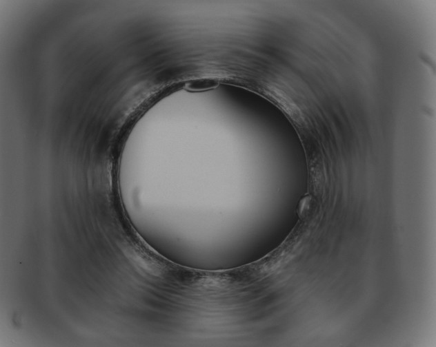 X0000092020350200709061334