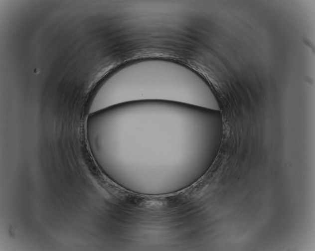 X0000092020352200709061334
