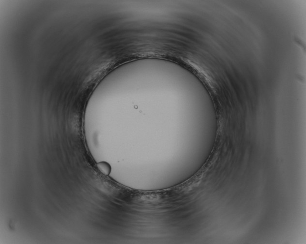 X0000092020353200709061334