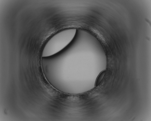 X0000092020354200709061334