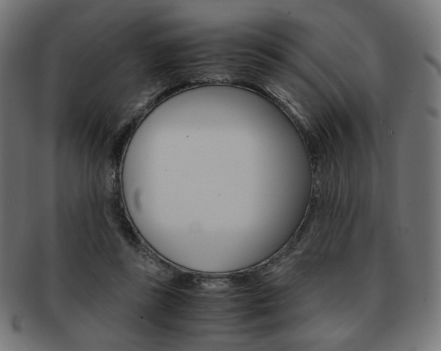 X0000092020355200709061334