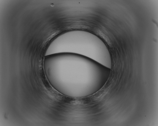 X0000092020356200709061334