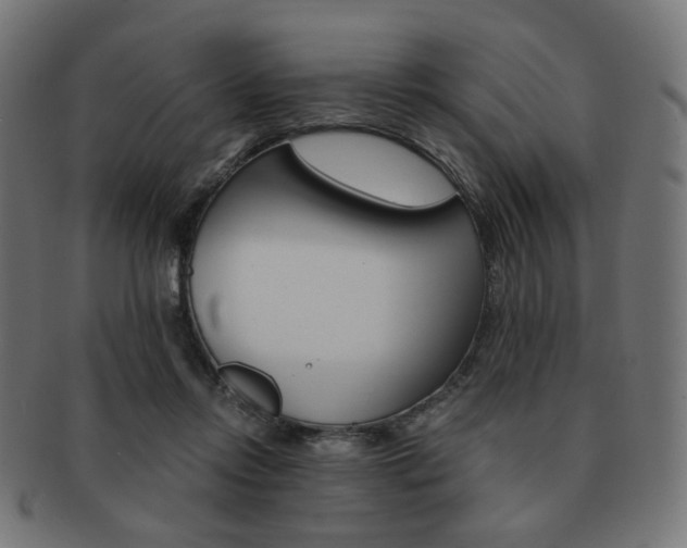 X0000092020358200709061334