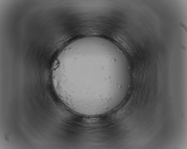 X0000092020359200709061334
