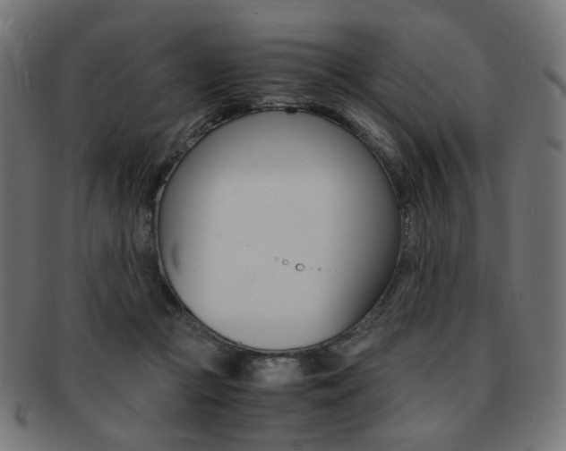 X0000092020361200709061334