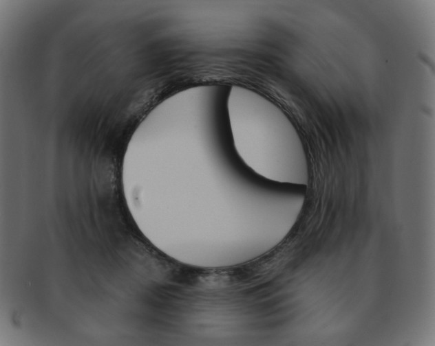 X0000092020362200709061334