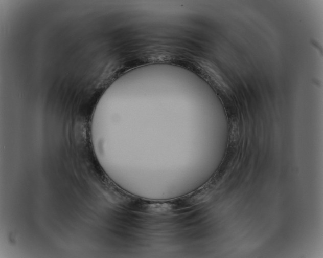 X0000092020363200709061334