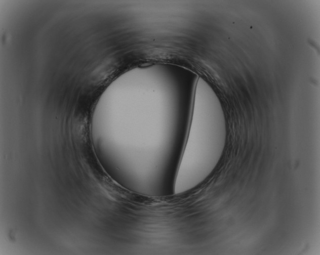 X0000092020364200709061334