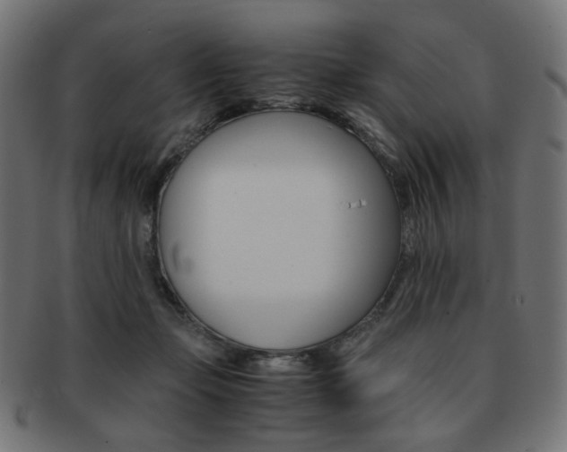 X0000092020365200709061334