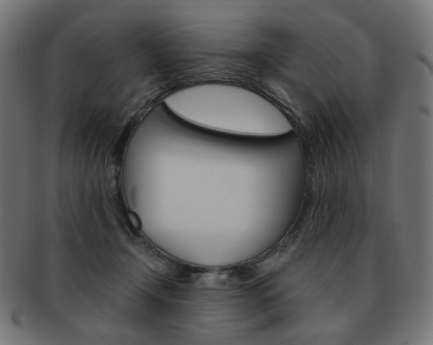 X0000092020366200709061334