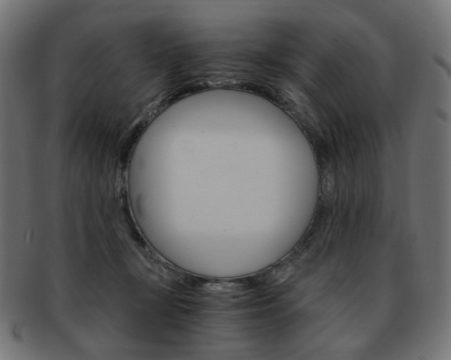 X0000092020367200709061334