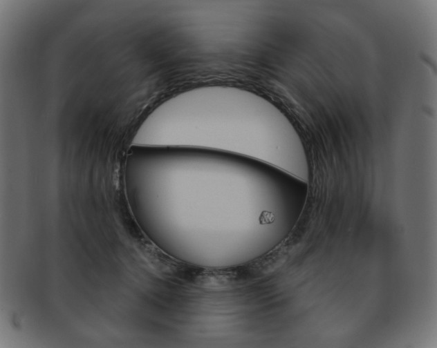 X0000092020368200709061334