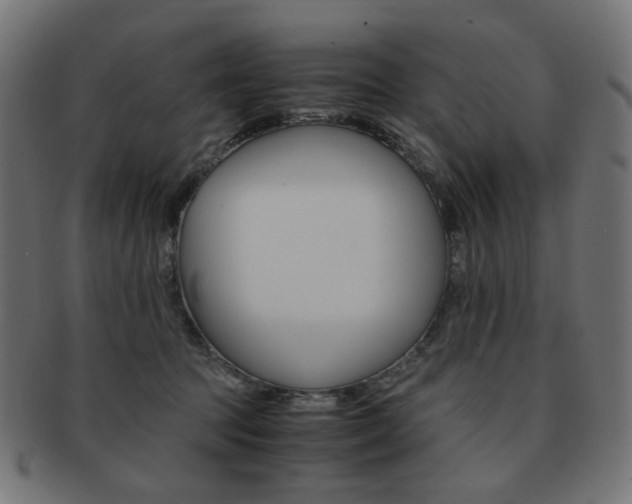 X0000092020369200709061334