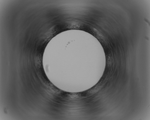 X0000092020370200709061334