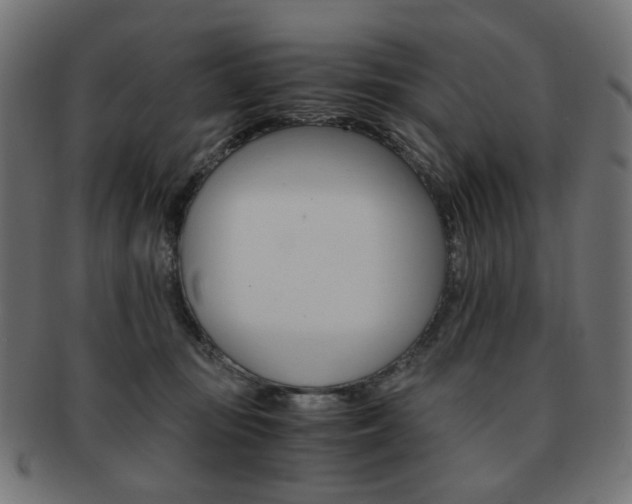 X0000092020371200709061334