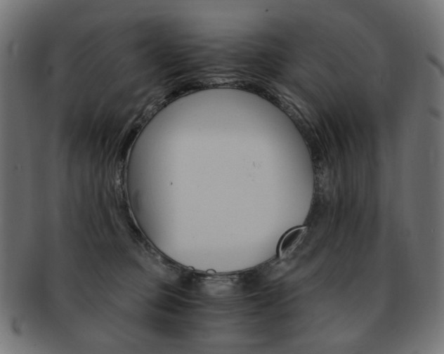 X0000092020373200709061334