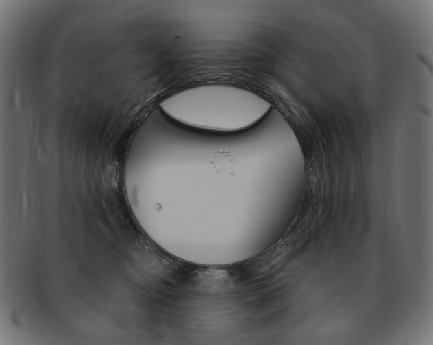 X0000092020374200709061334