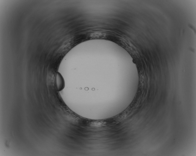 X0000092020375200709061334