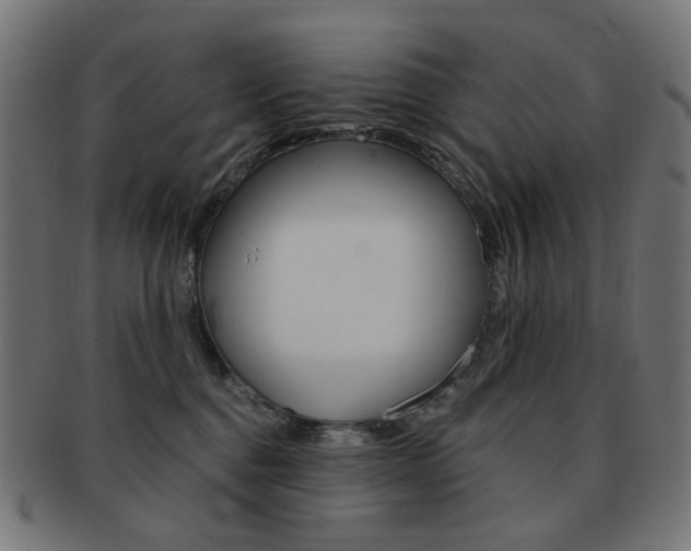 X0000092020376200709061335