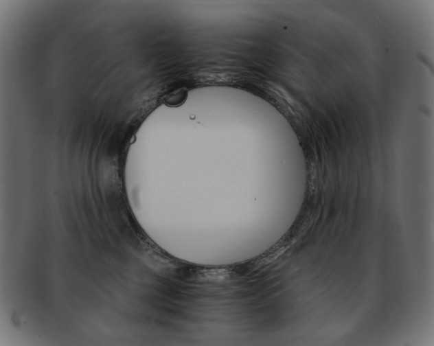 X0000092020377200709061335
