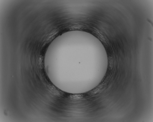 X0000092020378200709061335
