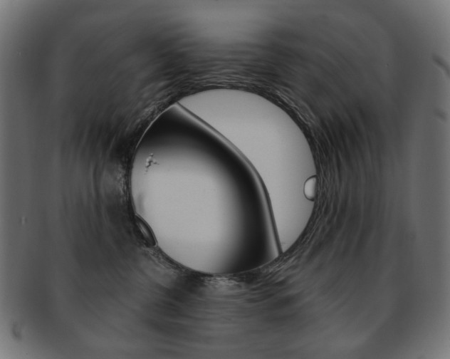 X0000092020380200709061335